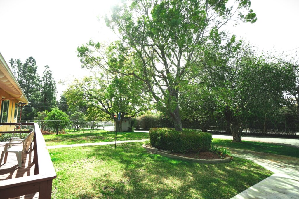 Life at Country Gardens (4)